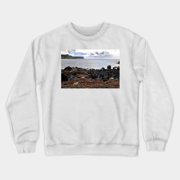 Sheep feeding on seaweed, Skye Crewneck Sweatshirt by richflintphoto